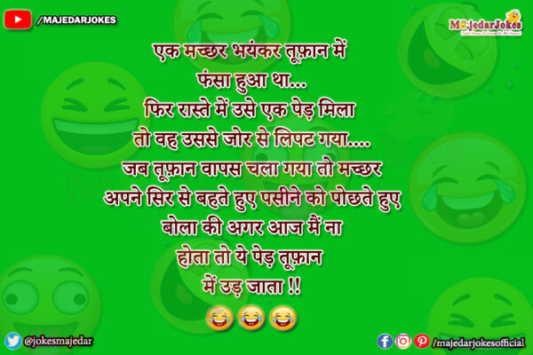 Latest Jokes : एक मच्छर भयंकर तूफ़ान में फंसा हुआ था