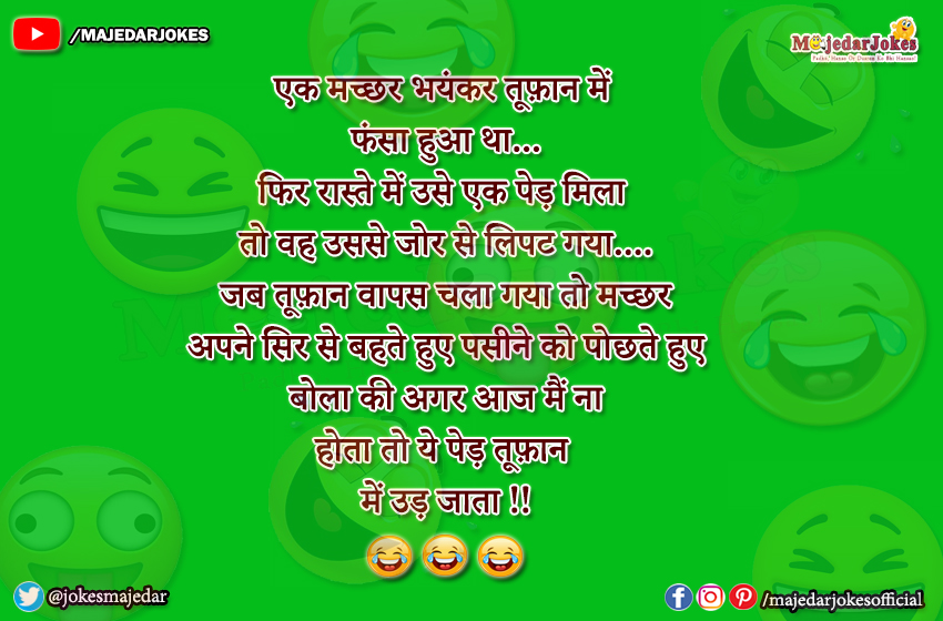 Latest Jokes : एक मच्छर भयंकर तूफ़ान में फंसा हुआ था