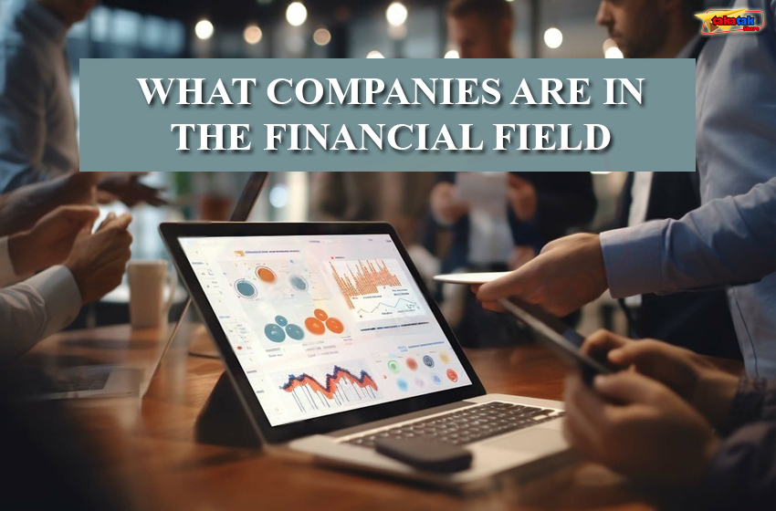 What companies are in the Financial Field