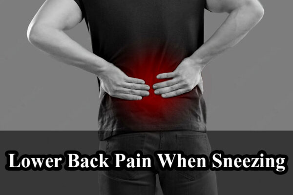 lower back pain when sneezing